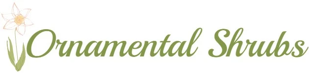 Ornamental Shrubs Sales