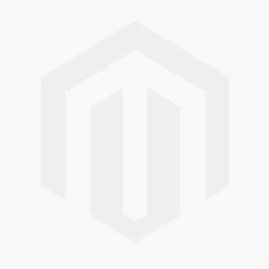 Deals 😀 40cm Rhododendron 'Bernstein' | 2 Litre Pot 🥰